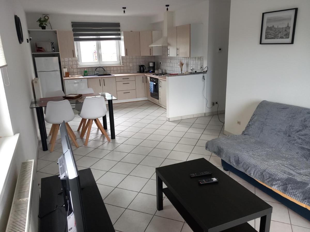 Appartement 3 Pieces Avec Balcon Rhinau Exterior foto